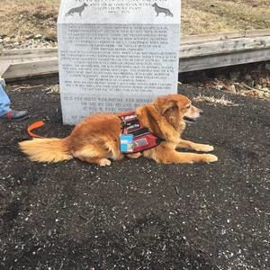 Meet your Posher, Don